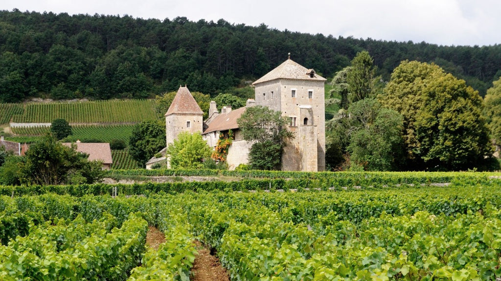 最貴酒 羅曼尼康帝 勒樺酒莊慕西尼 沃恩羅曼尼紅勃艮第 2020年 最貴紅酒 紅酒 Red Wine 紅酒推薦 Fine Wine Asia  紅酒推介 買紅酒 頂級紅酒 red wine Wine Searcher 上網買酒 紅酒推介