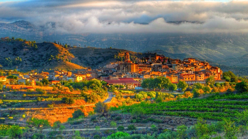 西班牙酒王 西班牙 酒皇 Bodegas Vega-Sicilia Unico 平古斯 Dominio de Pingus 獨一珍藏 紅酒 貝加西西里亞酒莊 Red Wine 紅酒推薦 Fine Wine Asia 紅酒推介 買紅酒 頂級紅酒 red wine Wine Searcher 上網買酒 紅酒推介