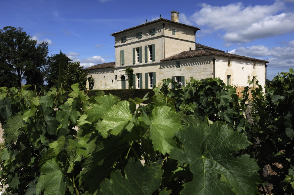 柏翠之花酒莊 Chateau La Fleur-Petrus 紅酒推介 買紅酒 頂級紅酒 買紅酒 Red Wine  法國名莊酒 紅酒推薦 Fine Wine Asia 香港買酒網 酒鋪 上網買酒 紅酒價格 紅酒推介