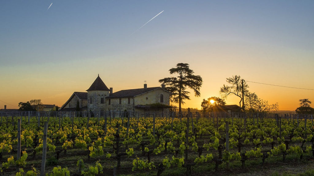 瓦蘭佐酒莊 Chateau Valandraud 紅酒推介 買紅酒 頂級紅酒 買紅酒 Red Wine 法國名莊酒 紅酒推薦 Fine Wine Asia 香港買酒網 酒鋪 上網買酒 紅酒價格 紅酒推介