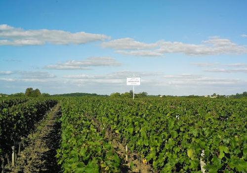 Chateau Hosanna 凱歌酒莊 紅酒推介 買紅酒 頂級紅酒 買紅酒 Red Wine  法國名莊酒 紅酒推薦 Fine Wine Asia 香港買酒網 酒鋪 上網買酒 紅酒價格 紅酒推介