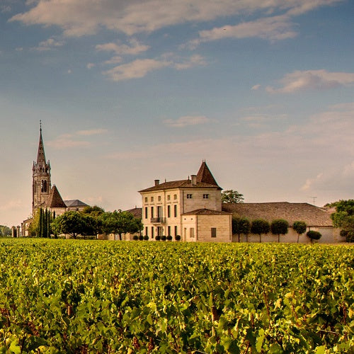 柏翠之花酒莊 Chateau La Fleur-Petrus 紅酒推介 買紅酒 頂級紅酒 買紅酒 Red Wine  法國名莊酒 紅酒推薦 Fine Wine Asia 香港買酒網 酒鋪 上網買酒 紅酒價格 紅酒推介