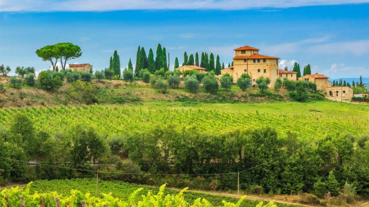 買紅酒 Red Wine 意大利頂級酒莊 頂級紅酒 買紅酒 紅酒推介 香港買酒網 紅酒推薦 意大利得獎酒 紅酒價格