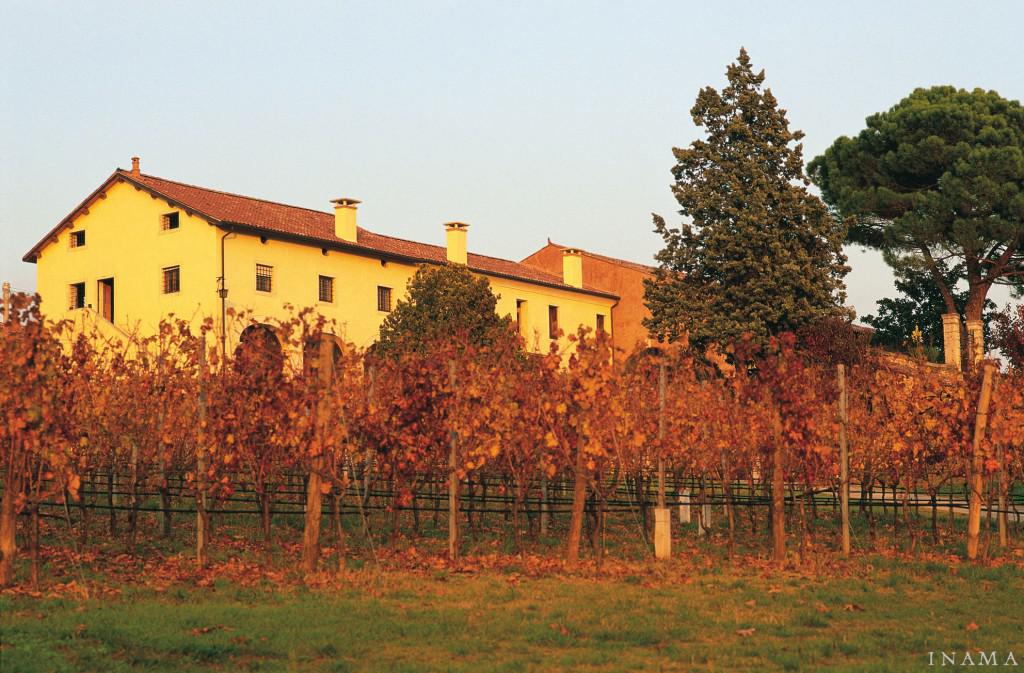 艾瑪酒莊, INAMA, 買紅酒, Red Wine, 紅酒推薦, Fine Wine Asia, 意大利得獎酒, 意大利頂級酒莊, 紅酒推介, 頂級紅酒,italian red wine, Wine Searcher, 買酒, 上網買酒, 酒鋪, 紅酒價格, 紅酒推介, 紅酒訂購, 紅酒送貨, 免費送貨