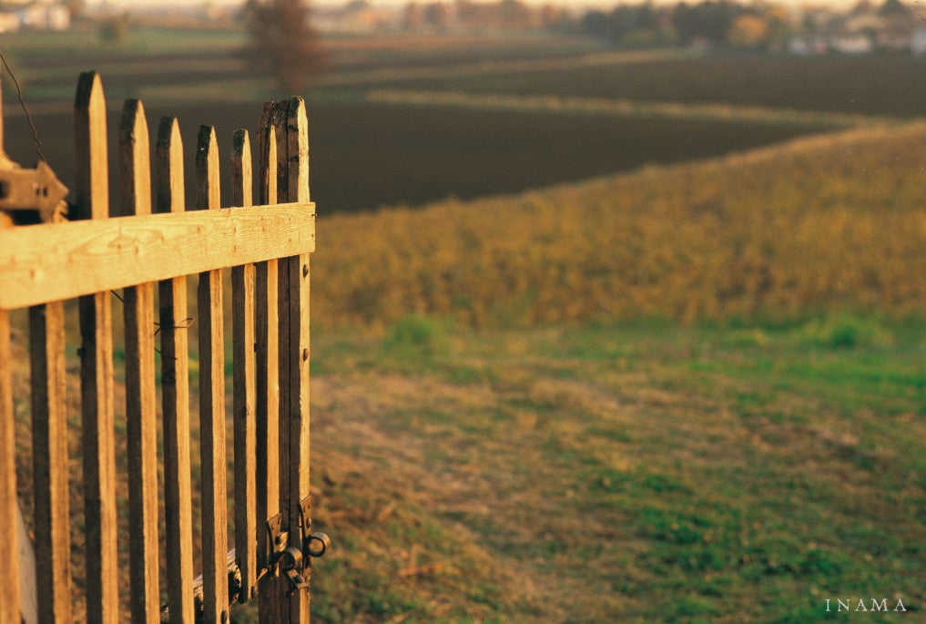 艾瑪酒莊, INAMA, 買紅酒, Red Wine, 紅酒推薦, Fine Wine Asia, 意大利得獎酒, 意大利頂級酒莊, 紅酒推介, 頂級紅酒,italian red wine, Wine Searcher, 買酒, 上網買酒, 酒鋪, 紅酒價格, 紅酒推介, 紅酒訂購, 紅酒送貨, 免費送貨