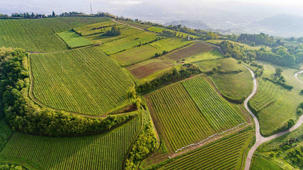 帕士卡酒莊, Pasqua Vigneti e Cantine, Famiglia Pasqua, Amarone, 買紅酒, Red Wine, 紅酒推薦, Fine Wine Asia, 意大利得獎酒, 意大利頂級酒莊, 紅酒推介, 頂級紅酒,italian red wine, Wine Searcher, 買酒, 上網買酒, 酒鋪, 紅酒價格, 紅酒推介, 紅酒訂購, 紅酒送貨, 免費送貨