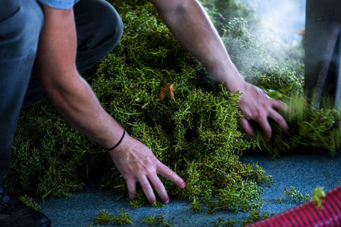 特桑奧酒莊, Vigna Traverso, 買紅酒, Red Wine, 紅酒推薦, Fine Wine Asia, 意大利得獎酒, 意大利頂級酒莊, 紅酒推介, 頂級紅酒,italian red wine, Wine Searcher, 買酒, 上網買酒, 酒鋪, 紅酒價格, 紅酒推介, 紅酒訂購, 紅酒送貨, 免費送貨