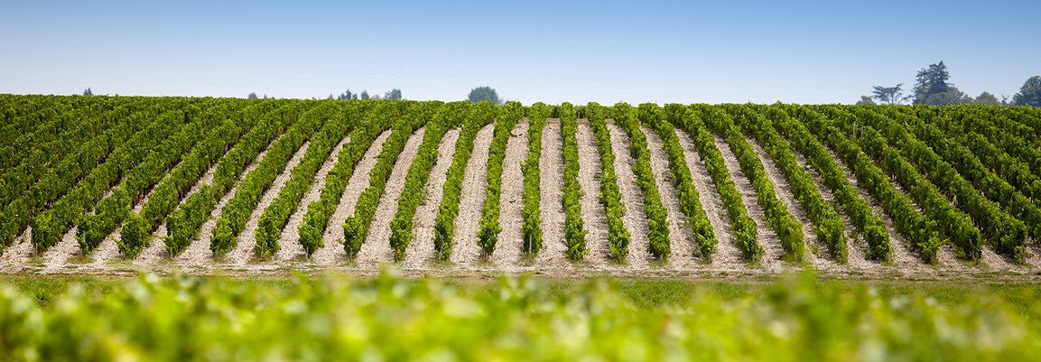 買紅酒 Red Wine, Fine Wine Asia, 法國名莊酒, france red wine, 波爾多1855, 波爾多, Bordeaux Wines, 香港買酒網, 酒鋪, 上網買酒, 紅酒價格, 紅酒推介, 紅酒訂購, 紅酒送貨