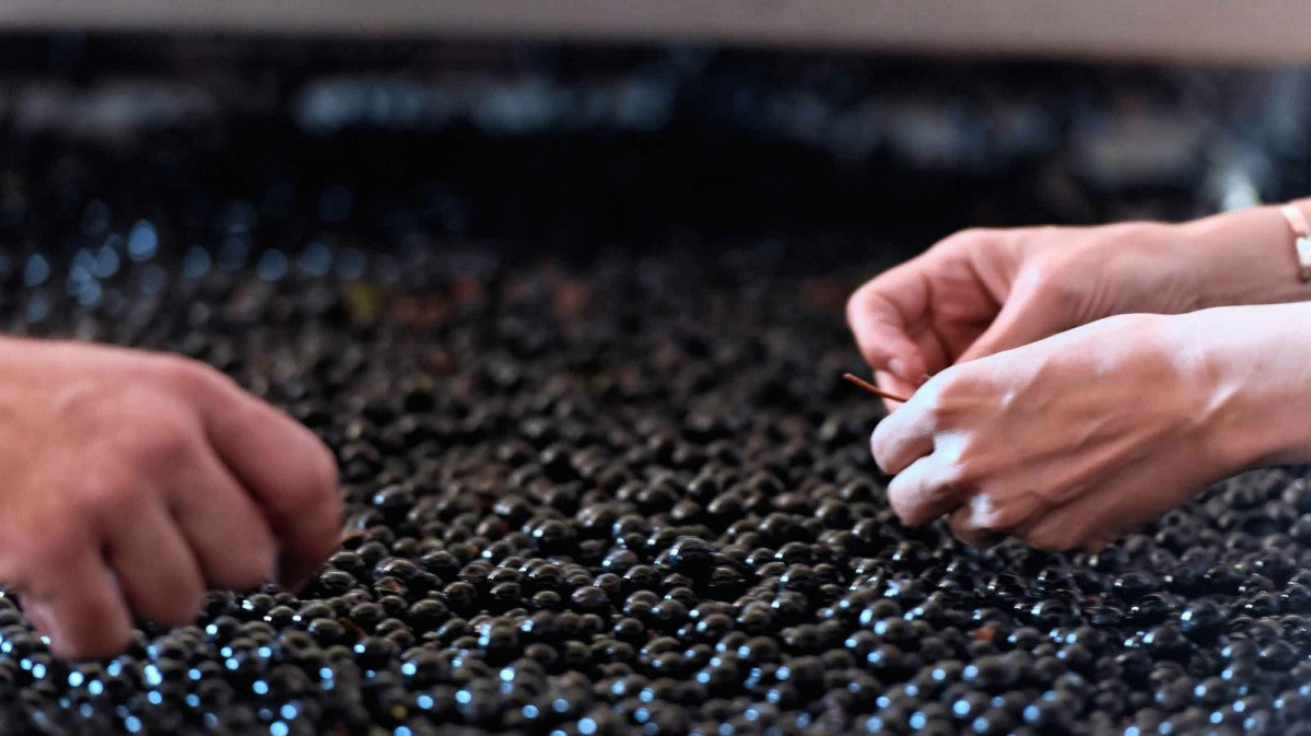 買紅酒 Red Wine, Fine Wine Asia, 法國名莊酒, france red wine, 波爾多1855, 波爾多, Bordeaux Wines, 香港買酒網, 酒鋪, 上網買酒, 紅酒價格, 紅酒推介, 紅酒訂購, 紅酒送貨