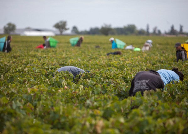 買紅酒 Red Wine, Fine Wine Asia, 法國名莊酒, france red wine, 波爾多1855, 波爾多, Bordeaux Wines, 香港買酒網, 酒鋪, 上網買酒, 紅酒價格, 紅酒推介, 紅酒訂購, 紅酒送貨