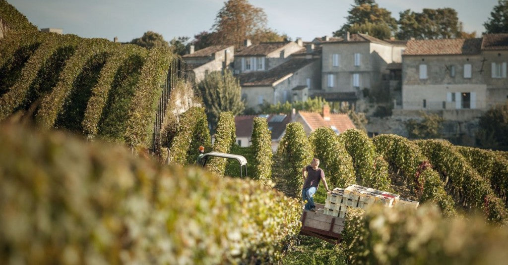 Chateau Ausone, 歐頌, 買紅酒 Red Wine, Fine Wine Asia, 法國名莊酒, france red wine, Wine Searcher, Saint Emilion Grand Cru Wines