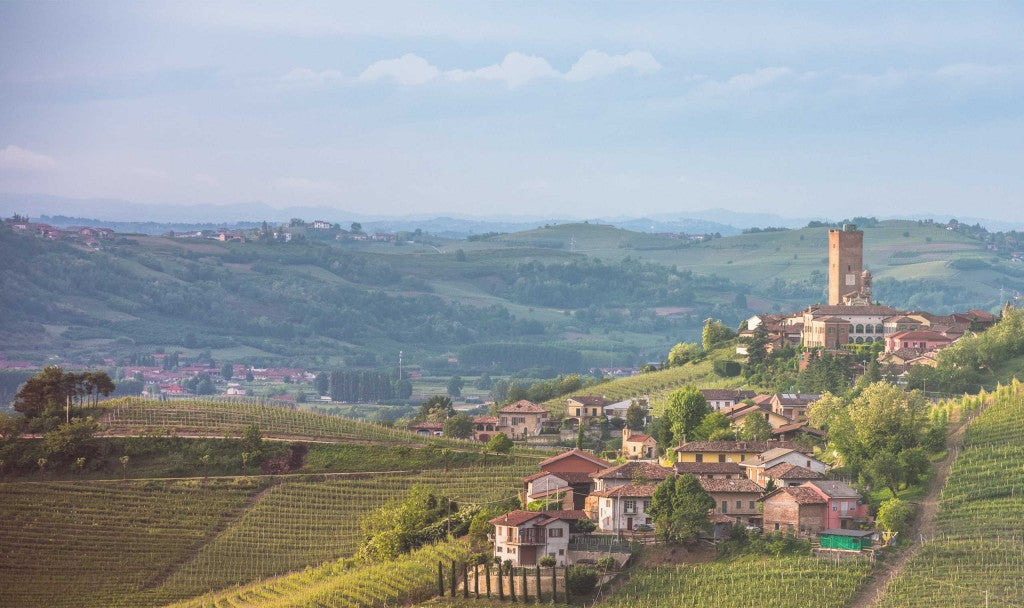 Terra Dei Celti Barolo Podero del Pesco 2004, 巴羅洛, 買紅酒, Red Wine, Fine Wine Asia, 意大利得獎酒, italian red wine, Wine Searcher, 紅酒推介, 頂級紅酒, 紅酒送貨