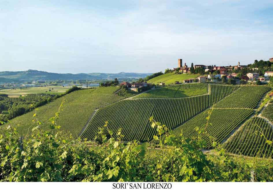 Sori San Lorenzo DOCG, 聖洛倫佐, 買紅酒, Red Wine, Fine Wine Asia, 意大利得獎酒, italian red wine, Wine Searcher, 紅酒推介, 頂級紅酒, 紅酒送貨