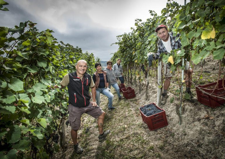 買紅酒 Red Wine, Fine Wine Asia, 法國名莊酒, france red wine, 波爾多1855, 波爾多, Bordeaux Wines, 香港買酒網, 酒鋪, 上網買酒, 紅酒價格, 紅酒推介, 紅酒訂購, 紅酒送貨