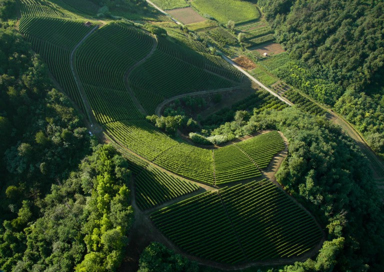 買紅酒 Red Wine, Fine Wine Asia, 法國名莊酒, france red wine, 波爾多1855, 波爾多, Bordeaux Wines, 香港買酒網, 酒鋪, 上網買酒, 紅酒價格, 紅酒推介, 紅酒訂購, 紅酒送貨
